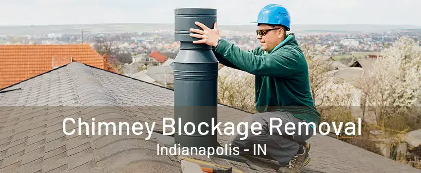 Chimney Blockage Removal Indianapolis - IN