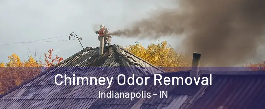 Chimney Odor Removal Indianapolis - IN