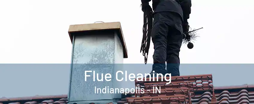 Flue Cleaning Indianapolis - IN